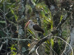 Florida_2007-2008-059